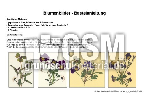 Blumenbilder-Bastelanleitung.pdf